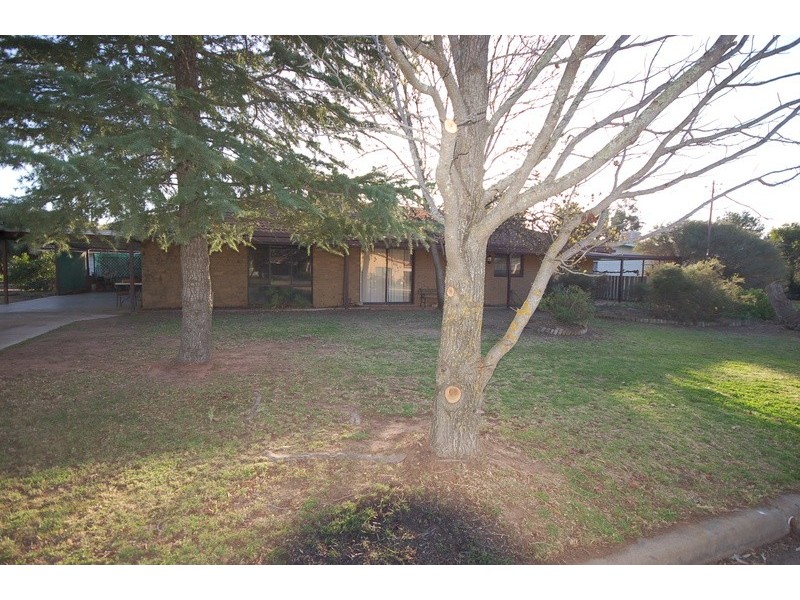 28 Bellbird Street, Coleambally NSW 2707