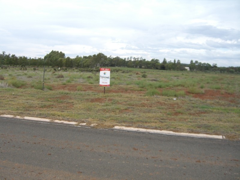 16 South Lake Drive, Lake Wyangan NSW 2680