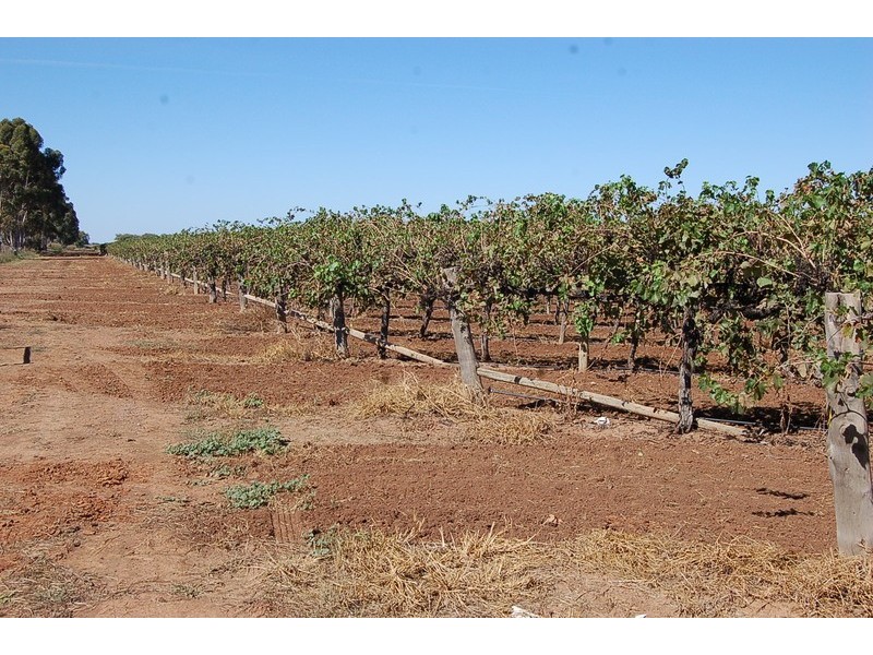 Farm 415 Yenda Road, Yenda NSW 2681