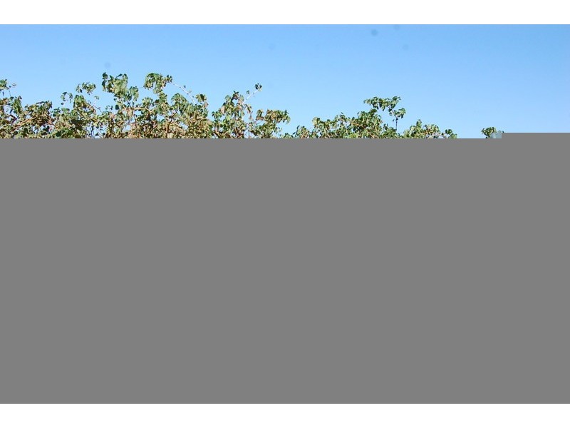 Farm 415 Yenda Road, Yenda NSW 2681