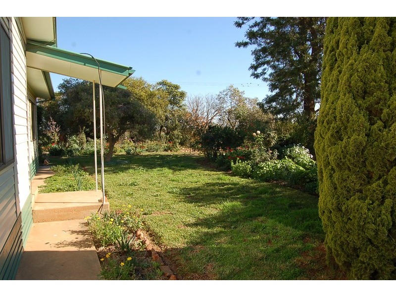 1119 Marin Road, Yenda NSW 2681
