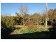 1119 Marin Road, Yenda NSW 2681