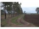 Farm 371 Cnr Condon & Mirrool Branch Canal Road, Bilbul NSW 2680