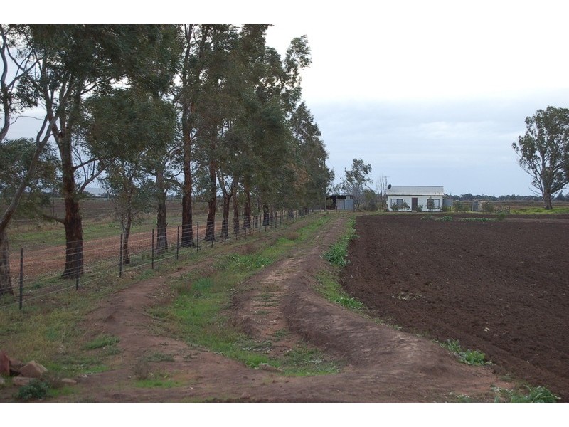 Farm 371 Cnr Condon & Mirrool Branch Canal Road, Bilbul NSW 2680