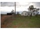 Farm 371 Cnr Condon & Mirrool Branch Canal Road, Bilbul NSW 2680