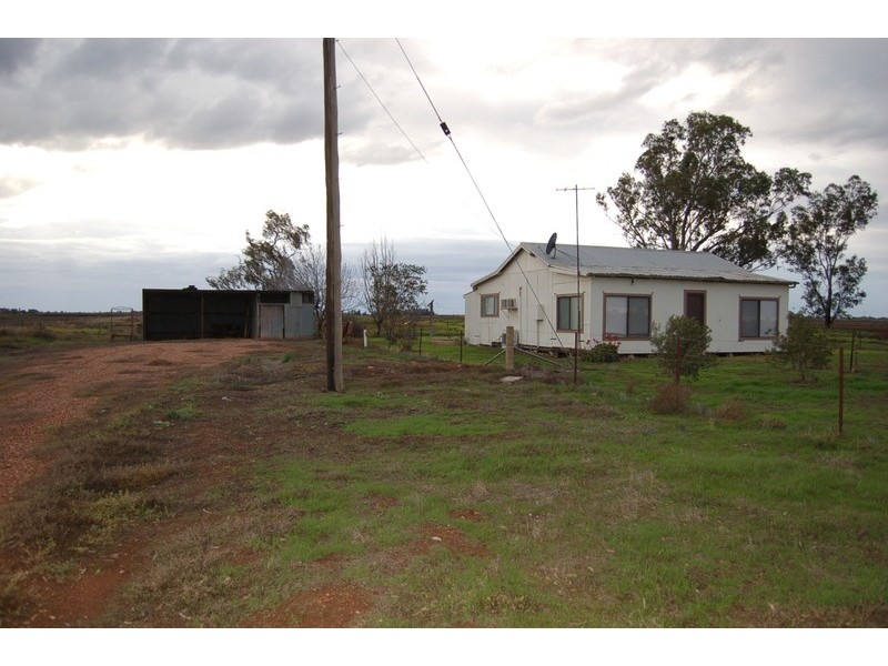 Farm 371 Cnr Condon & Mirrool Branch Canal Road, Bilbul NSW 2680