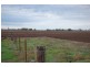 Farm 371 Cnr Condon & Mirrool Branch Canal Road, Bilbul NSW 2680
