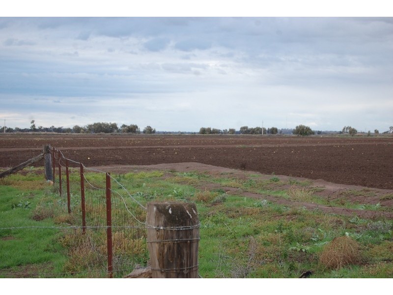 Farm 371 Cnr Condon & Mirrool Branch Canal Road, Bilbul NSW 2680