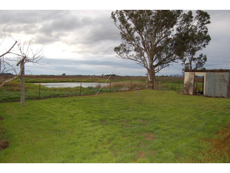 Farm 371 Cnr Condon & Mirrool Branch Canal Road, Bilbul NSW 2680