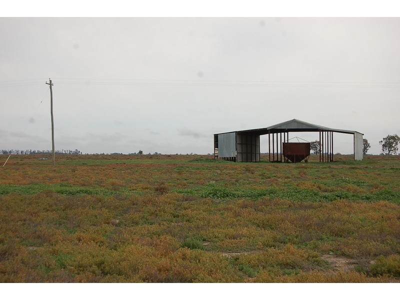 Farm 2628 Cashmere Road, Widgelli NSW 2680