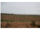 Farm 2628 Cashmere Road, Widgelli NSW 2680
