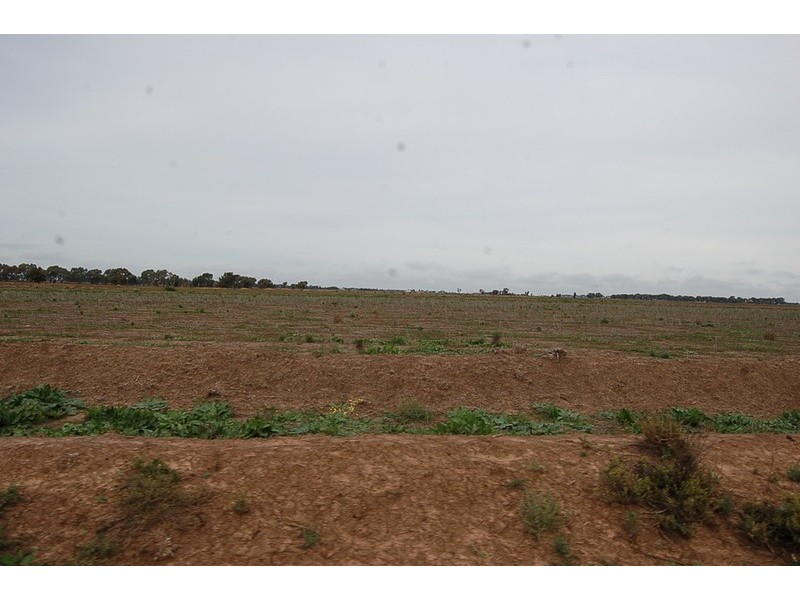 Farm 2628 Cashmere Road, Widgelli NSW 2680