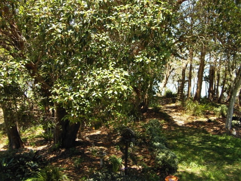 66B Queen Lane, Iluka NSW 2466