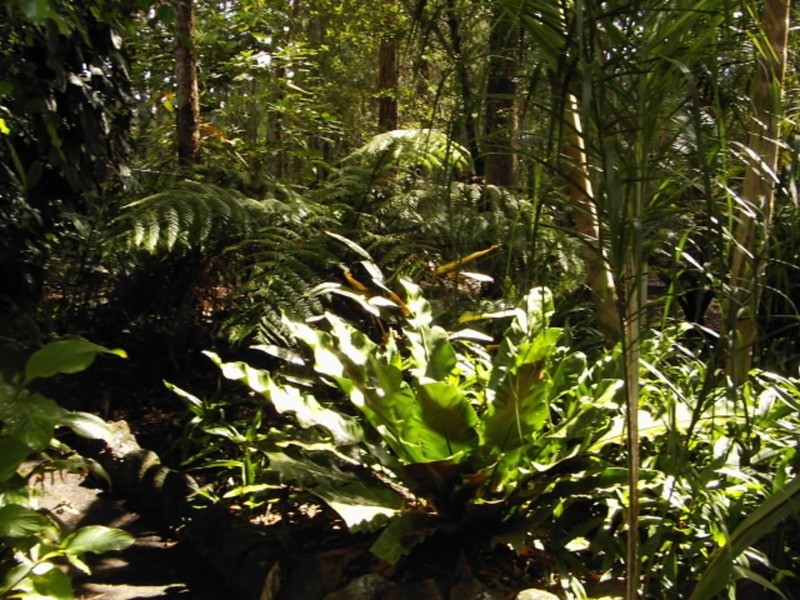 32 Gumhill Drive, Woombah NSW 2469