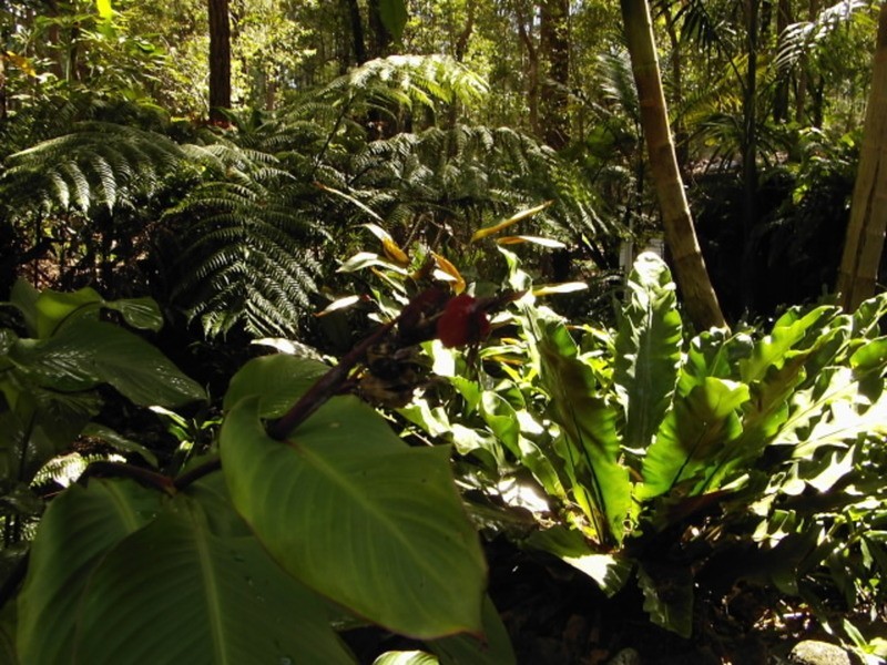 32 Gumhill Drive, Woombah NSW 2469