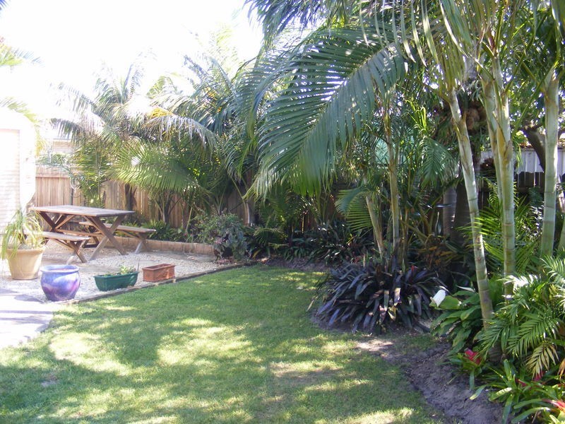 31 Melville Street, Iluka NSW 2466