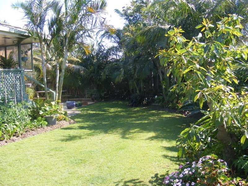 31 Melville Street, Iluka NSW 2466