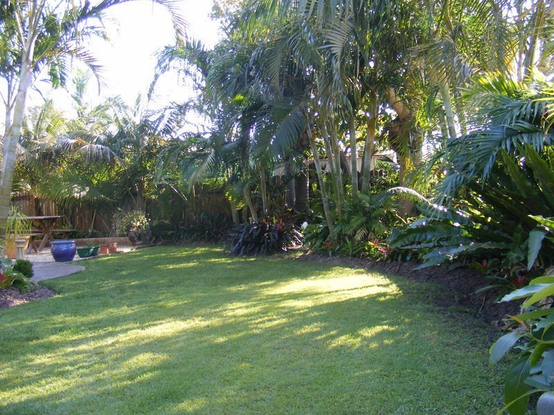 31 Melville Street, Iluka NSW 2466