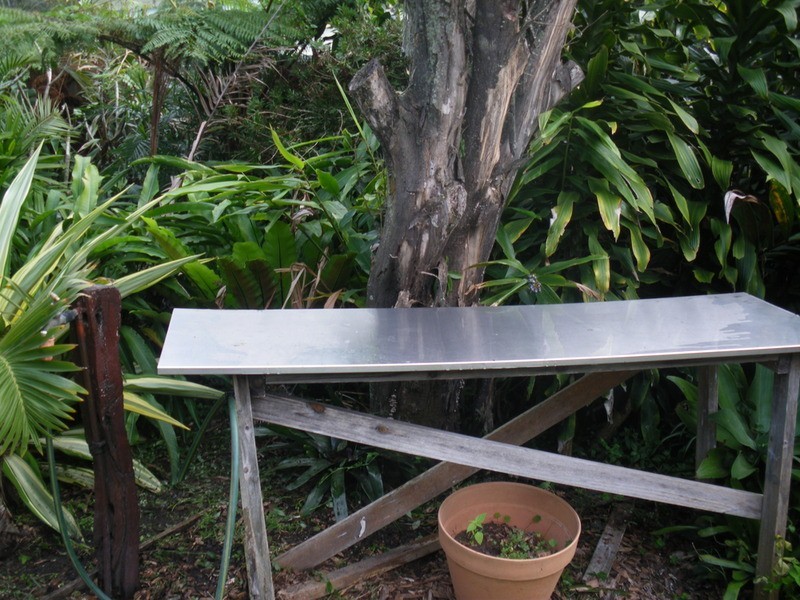 99 Spenser Street, Iluka NSW 2466