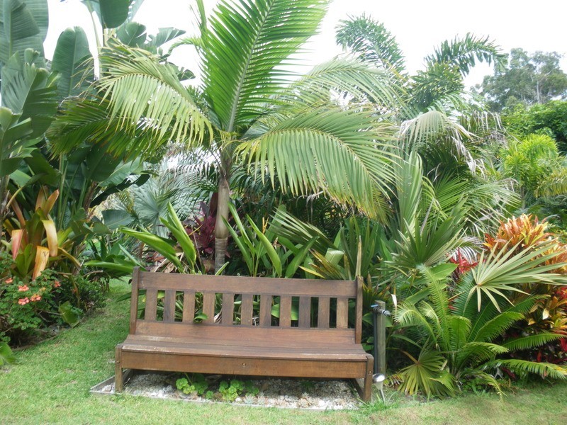 99 Spenser Street, Iluka NSW 2466