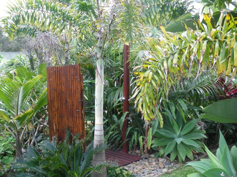 99 Spenser Street, Iluka NSW 2466