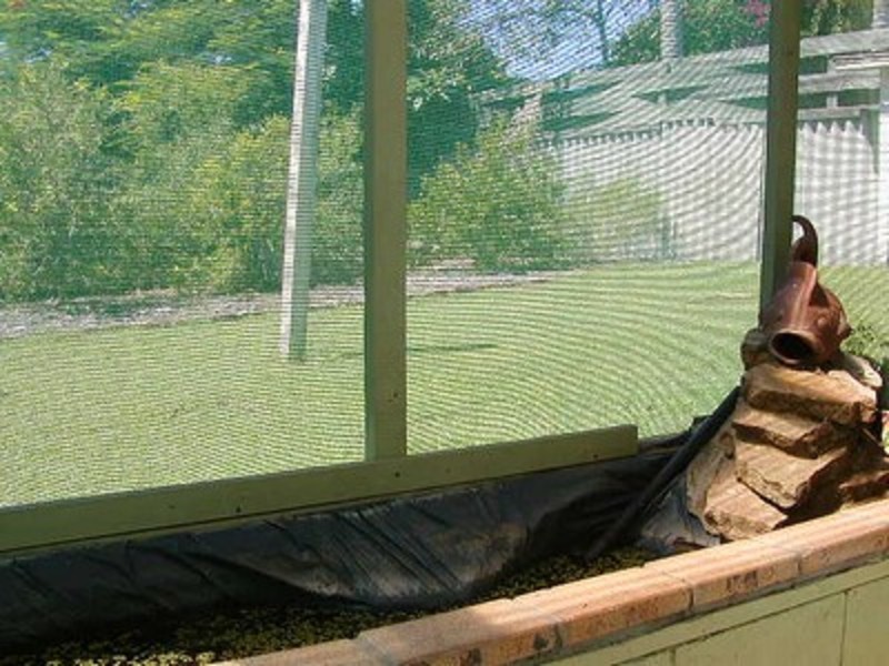 55 Duke Street, Iluka NSW 2466