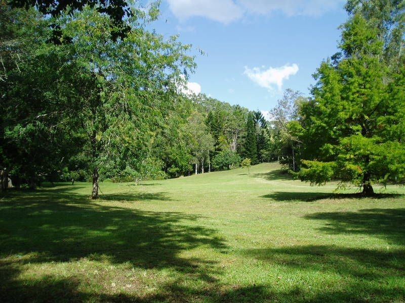 723 Rowlands Creek Road, Uki NSW 2484