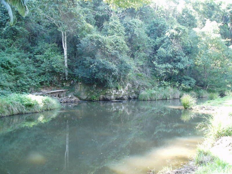 723 Rowlands Creek Road, Uki NSW 2484