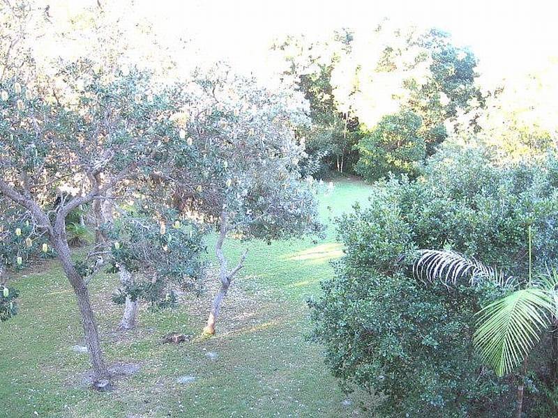 19 Murphys Road, Kingscliff NSW 2487