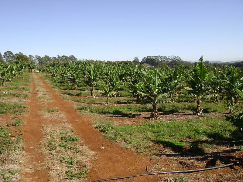 489 Duranbah Road, Duranbah NSW 2487