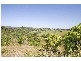 244 Farrants Hill Road, Farrants Hill NSW 2484