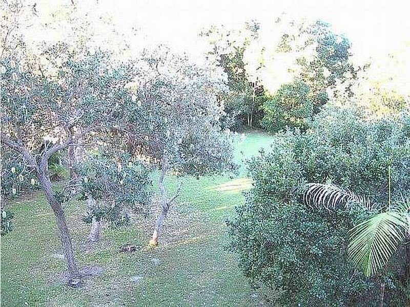 19 Murphys Road, Kingscliff NSW 2487