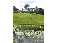 255 Richards Deviation, Dunbible NSW 2484