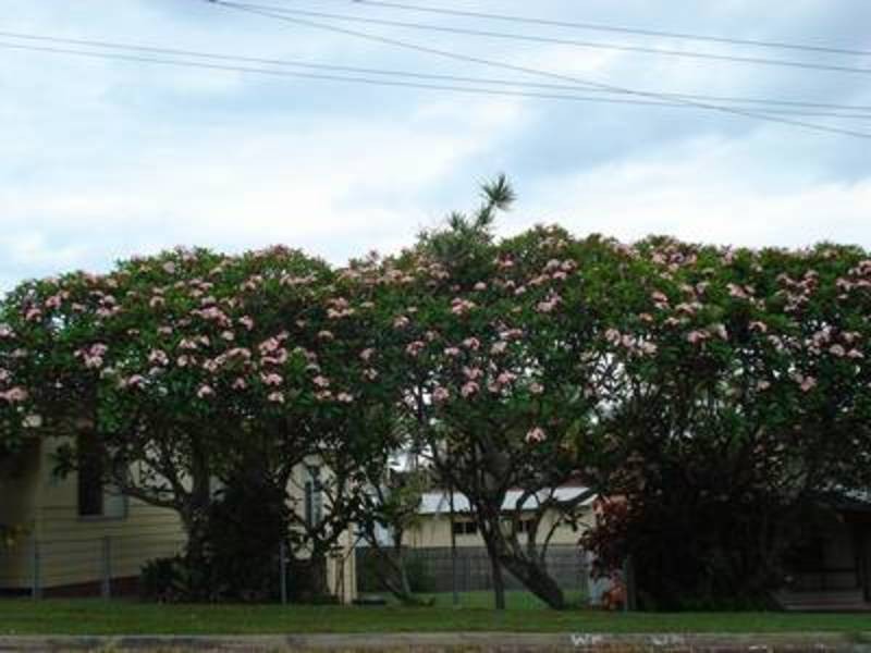 2 Prince Street, Fingal Head NSW 2487