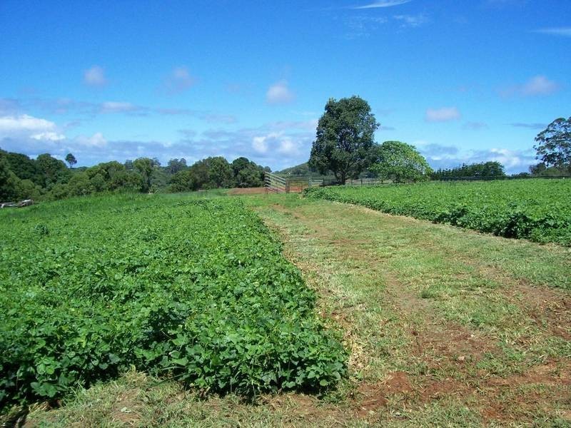 375 DURANBAH , Duranbah NSW 2487