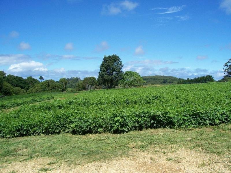 375 DURANBAH , Duranbah NSW 2487