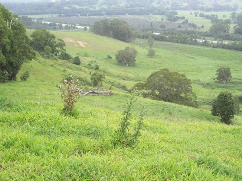 6 Donalyn Court, Duranbah NSW 2487