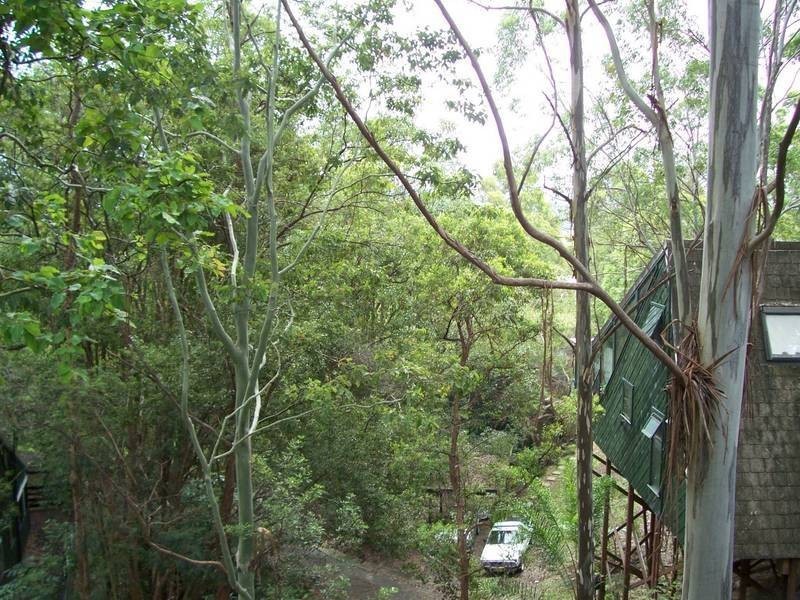 Tanglewood NSW 2488