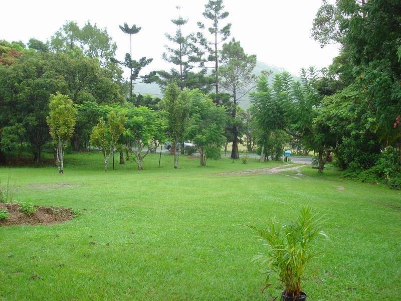 910 Clothiers Creek Road, Clothiers Creek NSW 2484