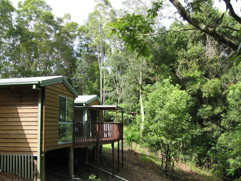 158 Hawkens Street, Eviron NSW 2484