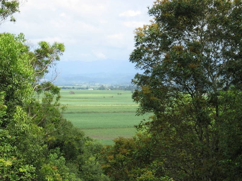 158 Hawkens Street, Eviron NSW 2484