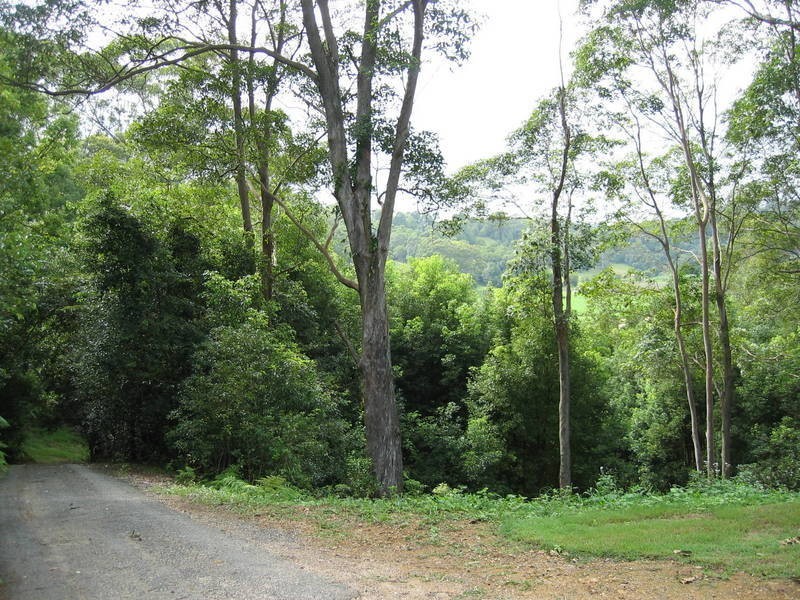 158 Hawkens Street, Eviron NSW 2484