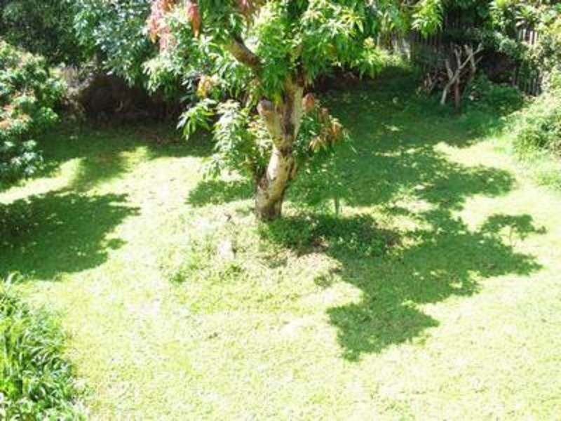 34 Orient Street, Kingscliff NSW 2487