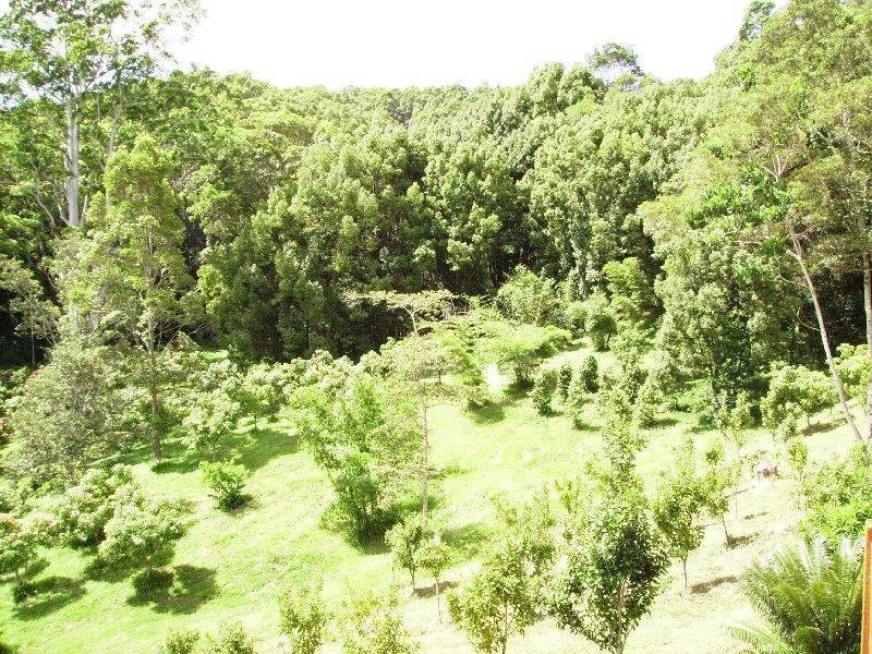 72 Howards Road, Burringbar NSW 2483