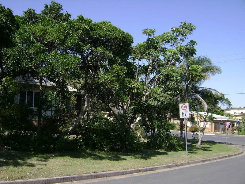 37 Kingscliff Street, Kingscliff NSW 2487