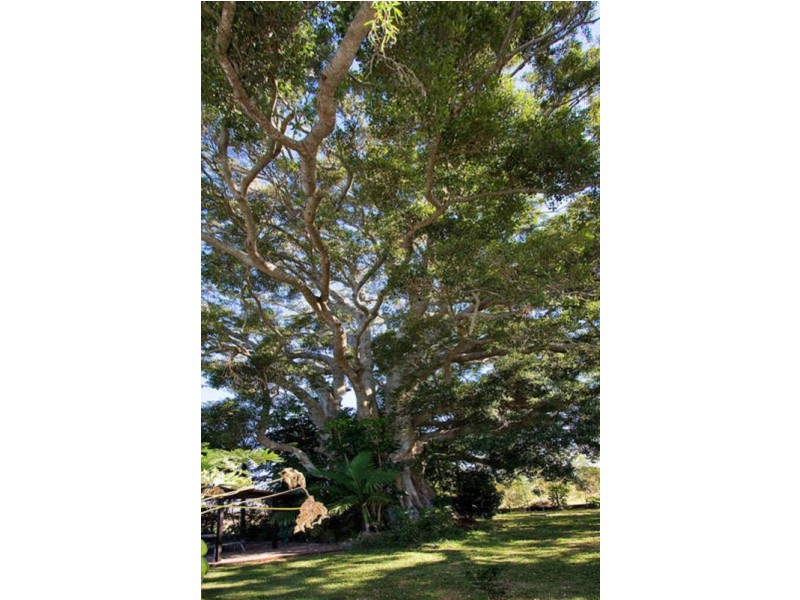 330 Duranbah Road, Duranbah NSW 2487