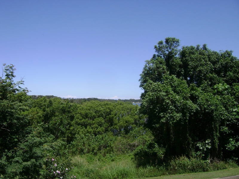 87 Bimbadeen Avenue, Banora Point NSW 2486