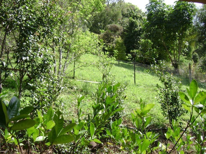 87 Bimbadeen Avenue, Banora Point NSW 2486