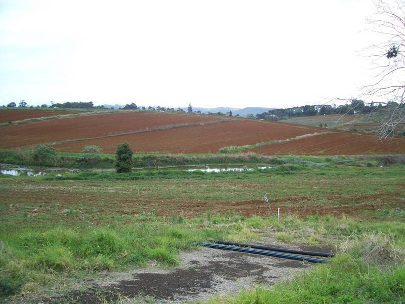 1 / lot1 Plantation Road, Cudgen NSW 2487