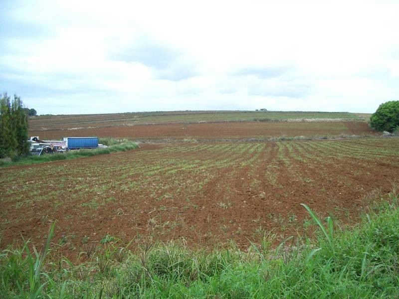 lot 1 / lot1 Cudgen Road, Cudgen NSW 2487